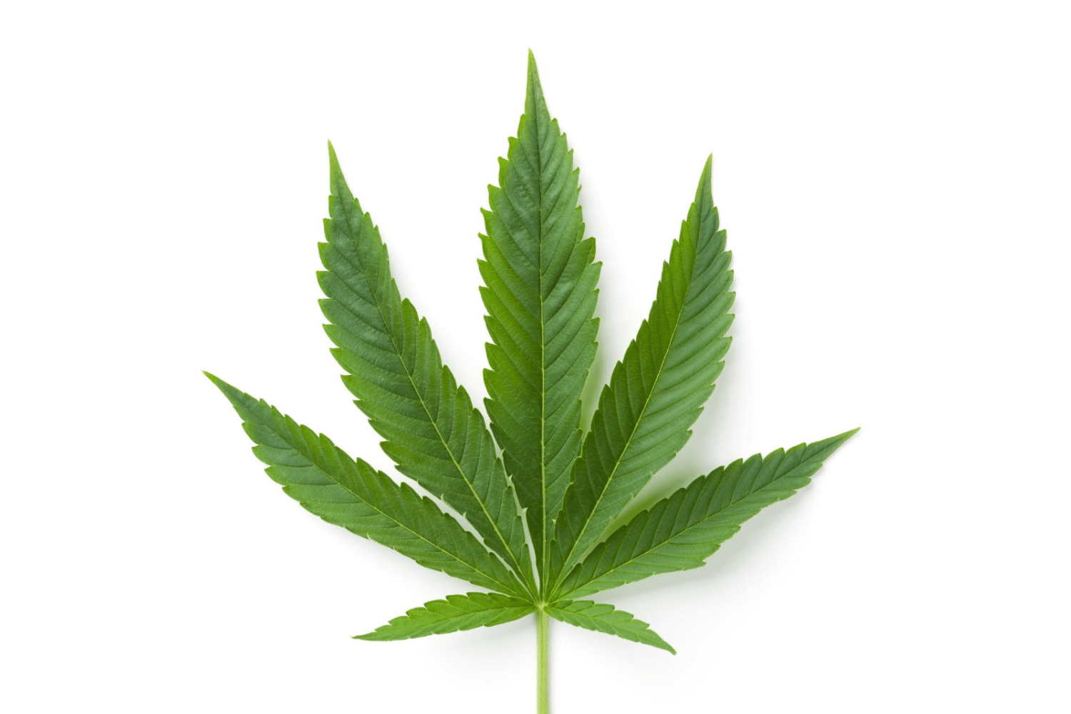 Are CBD and THC the same thing?