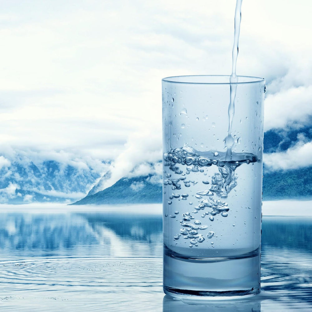 Identity Pure Spring Water - Plant Based Carton